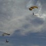 flying_elvi_03