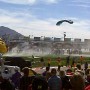 flying_elvi_04