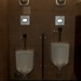 pisser-tv-screens